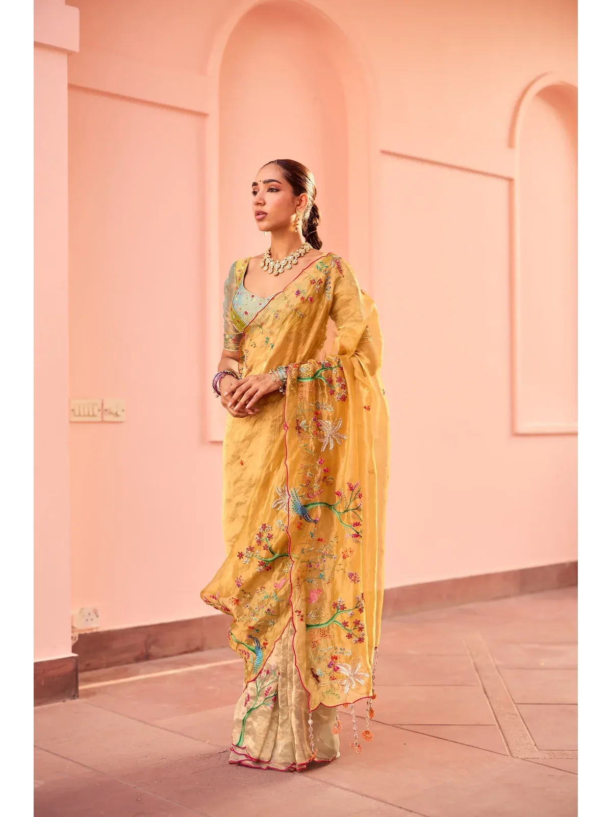 Amira Silk Tissue Sari, view 1