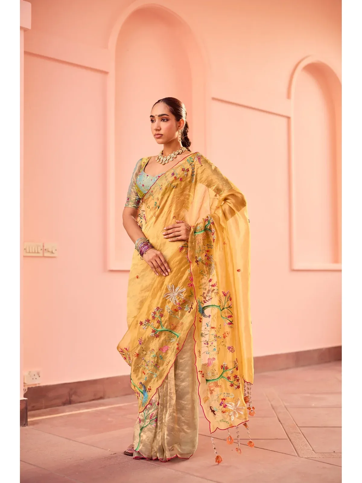 Amira Silk Tissue Sari, view 3