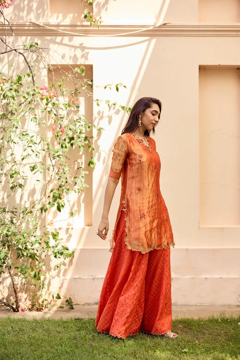 Kurta set in warm festive colors